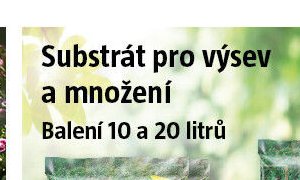 Substrát pro výsev a množení