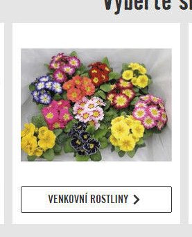Jarní květiny