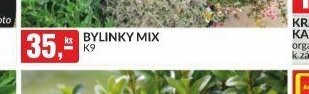 BYLINKY MIX K9