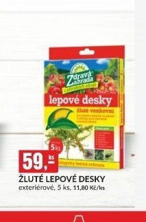 ŽLUTÉ LEPOVÉ DESKY