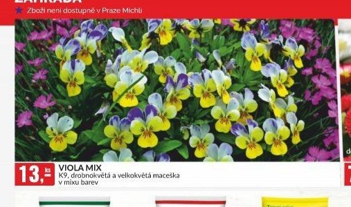 VIOLA MIX