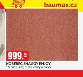 KOBEREC SHAGGY ENJOY 160x230 cm