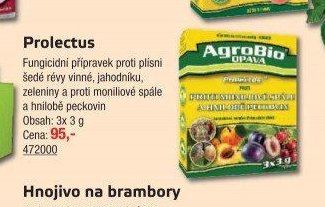 Prolectus