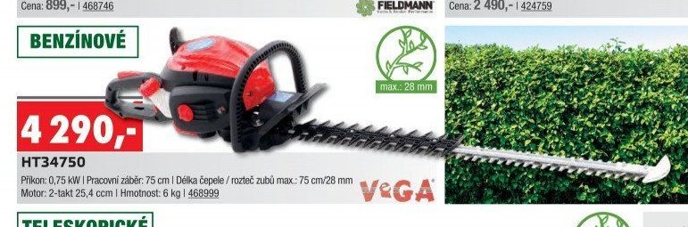 VEGA HT34750