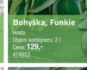 Bohýška, Funkie