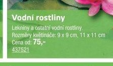 Vodní rostliny