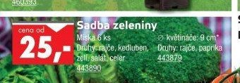 Sadba zeleniny