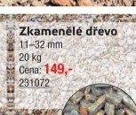 Zkamenělé dřevo