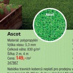 Travní koberce: Ascot