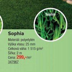 Travní koberce: Sophia