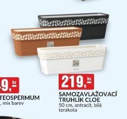 SAMOZAVLAŽOVACÍ TRUHLÍK CLOE