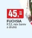 FUCHSIA
