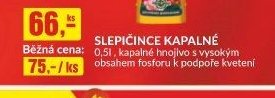 SLEPIČINCE KAPALNÉ
