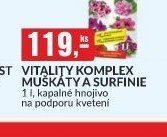 VITALITY KOMPLEX MUŠKÁTY A SURFINIE