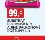 SUBSTRÁT PRO MUŠKÁTY A JINÉ BALKONOVÉ ROSTLINY