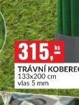 TRÁVNÍ KOBEREC