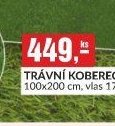 TRÁVNÍ KOBEREC PRADO