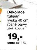 Dekorace tulipán