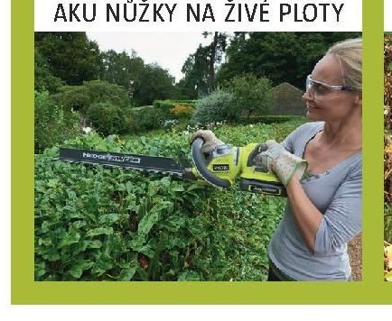 AKU NŮŽKY NA ŽIVÉ PLOTY