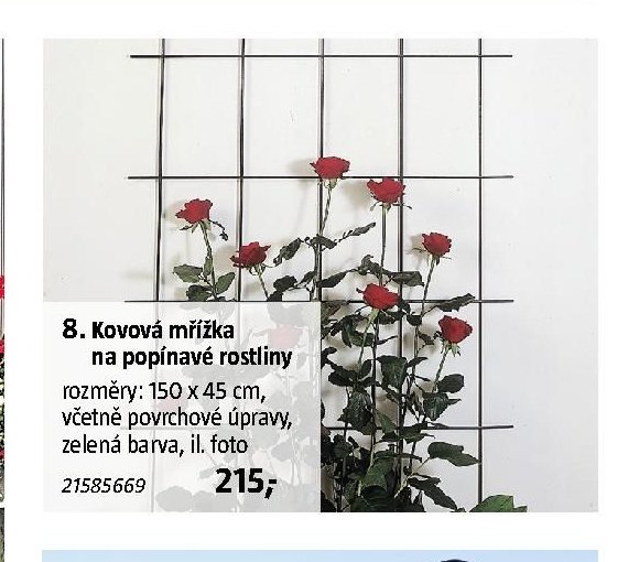 8. Kovová mřížka na popínavé rostliny