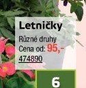 Letničky