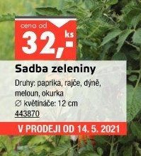 Sadba zeleniny