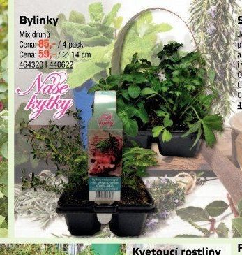 Bylinky
