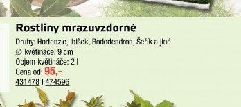 Rostliny mrazuvzdorné