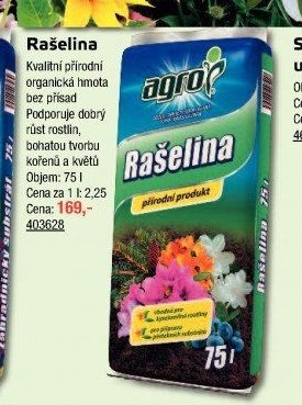Rašelina