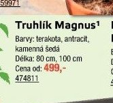 Truhlík Magnus