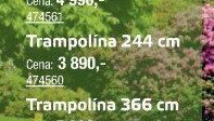 Trampolína 244 cm