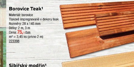 Borovice Teak