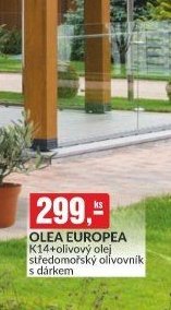 OLEA EUROPEA K14+olivový olej středomořský olivovník s dárkem