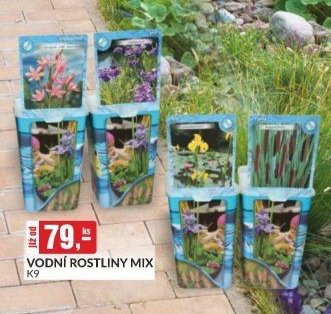 VODNÍ ROSTLINY MIX K9
