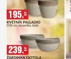 KVĚTNÍK PALLADIO
