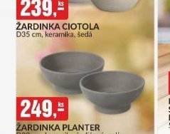 ŽARDINKA CIOTOLA