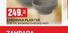 ŽARDINKA PLANTER