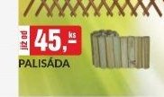 PALISÁDA