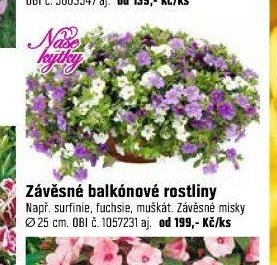 Závěsné balkónové rostliny