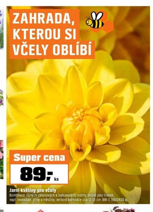 Jarní květiny pro včely