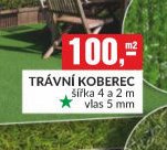 TRÁVNÍ KOBEREC