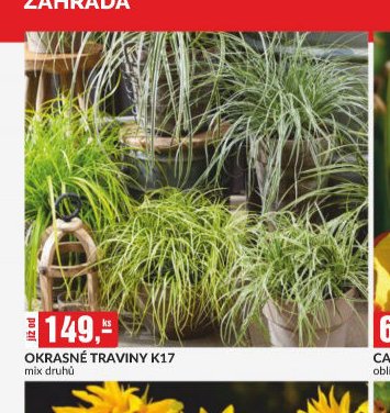 OKRASNÉ TRAVINY K17