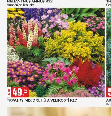 TRVALKY MIX DRUHŮ A VELIKOSTÍ K17