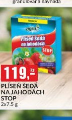 PLÍSEŇ ŠEDÁ NA JAHODÁCH STOP