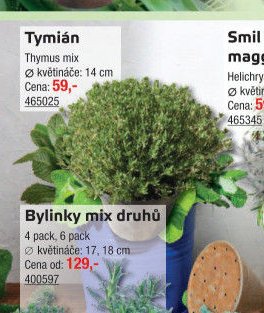 Tymián