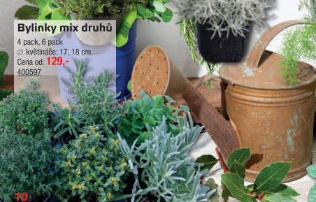 Bylinky mix druhů