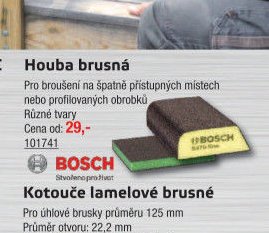 Houba brusná