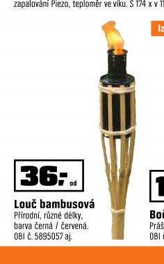 Louč bambusová