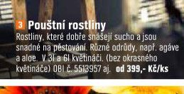 Poustní rostliny