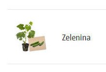 Zelenina